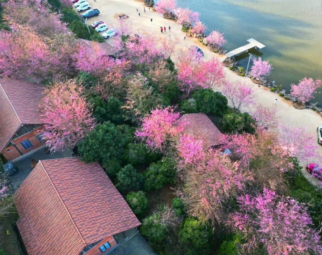 z7416345781416 72e700aa8307480b9b0fab4ea1e0c7ab