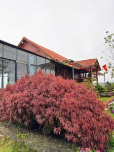 z7417649527186 eaa1bb8d4d6633db64237b3ba5ccae81