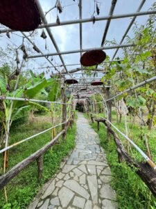 z7417649536989 da3f4716077a211a60bc465b81948820