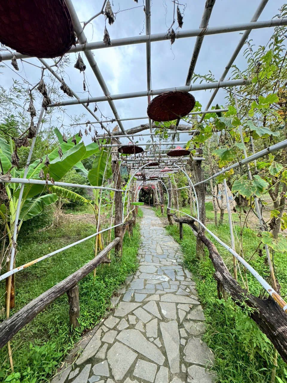 z7417649536989 da3f4716077a211a60bc465b81948820