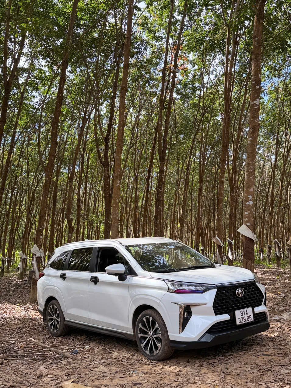 Xe Dịch Vụ Taxi Liên Tỉnh Pleiku 10 z7417649580435 4547bcd283a3fa2ad547b1e52c011540