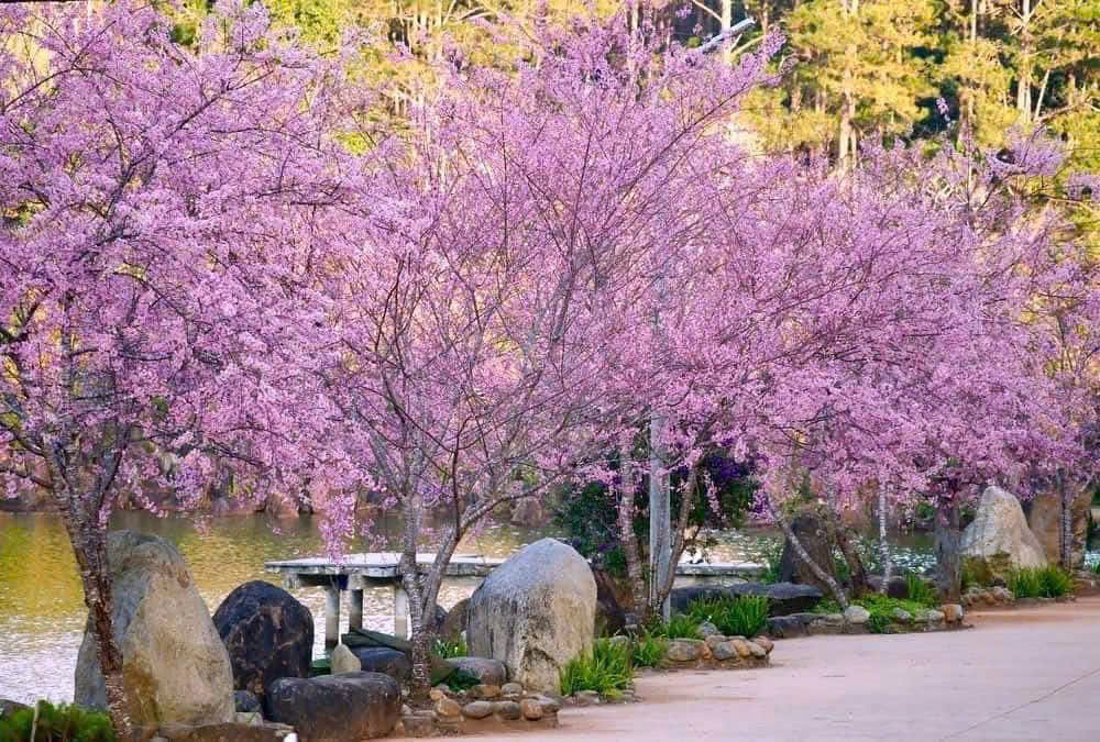 z7416345709963 36dfd99ec7325b31a9ca81924f0effb6