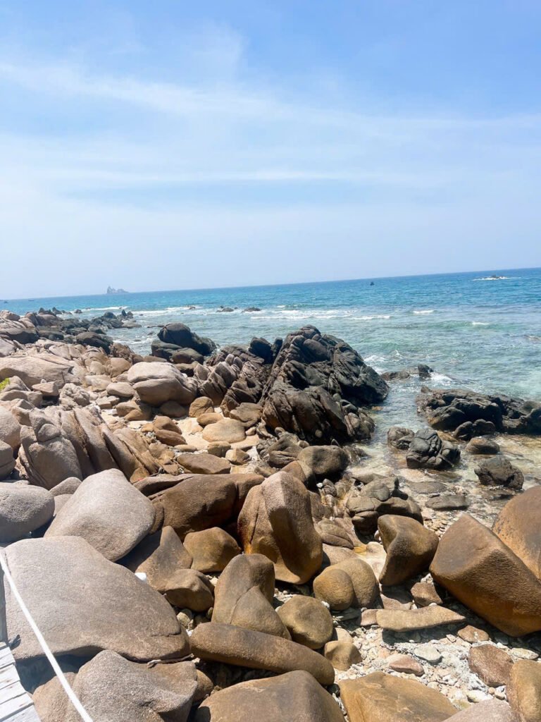 z7416345737163 498a70f3697e74e1afd1bc9736c99c07