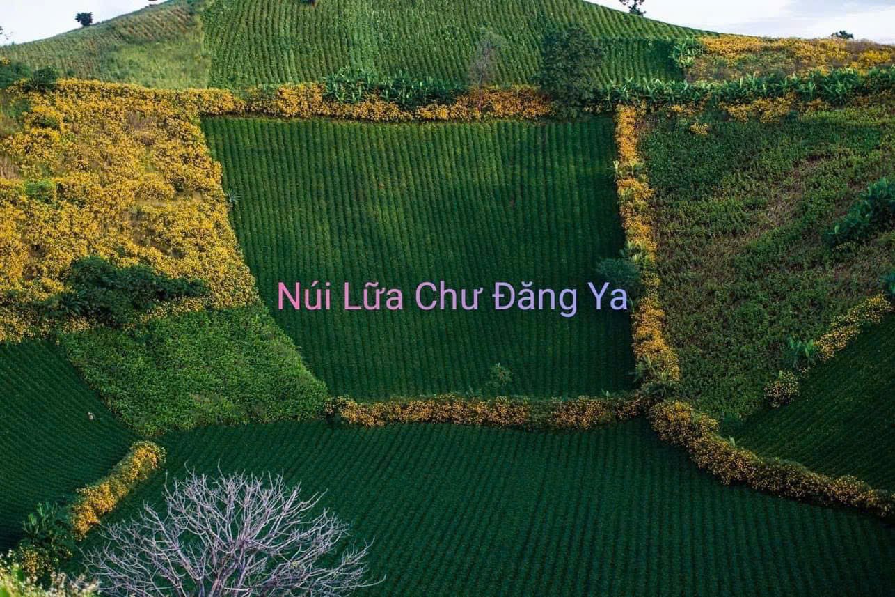 z7416345753838 b4622be9e70e87fa82242504aa7d6e99