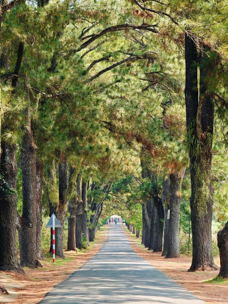 z7416345761156 4d5e11a624706b9afc789ab6f64148ac