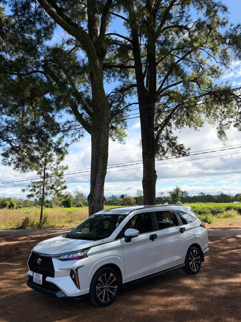 z7417649587107 98fa0cc41fb1327fb4f8fa8bad945bd7