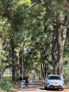 Dịch vụ thuê xe liên tỉnh Pleiku đi các tỉnh an toàn