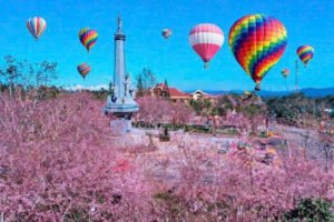 Du lịch Gia Lai với cảnh đẹp thiên nhiên và văn hóa Tây Nguyên